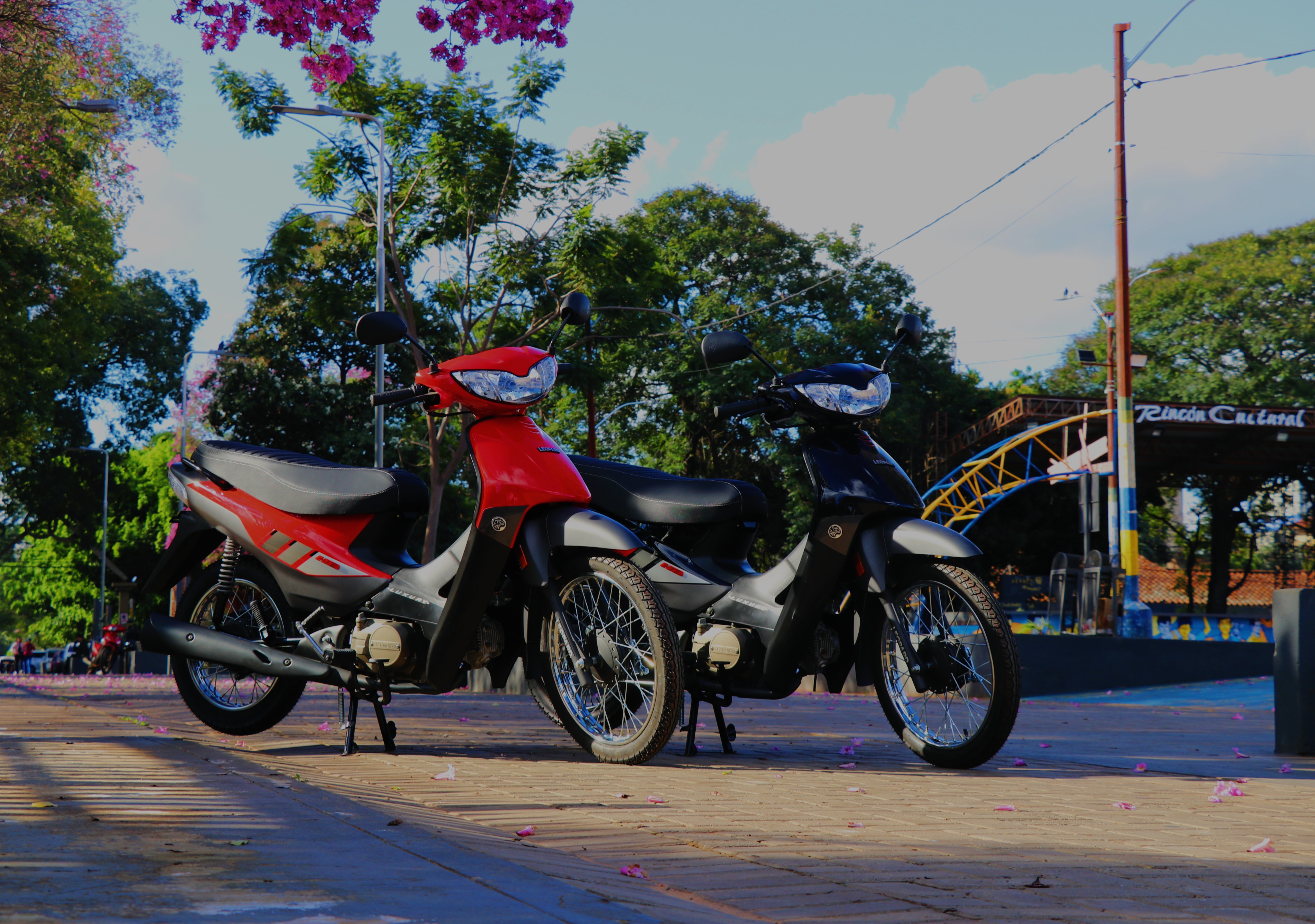 Imagen de galeria